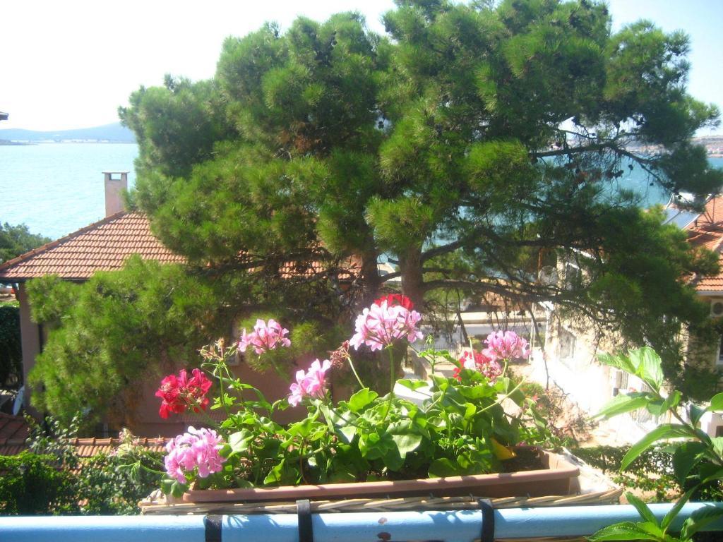 Mavi Pension Hotel Ayvalı Eksteriør billede