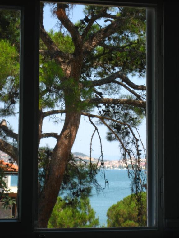 Mavi Pension Hotel Ayvalı Eksteriør billede